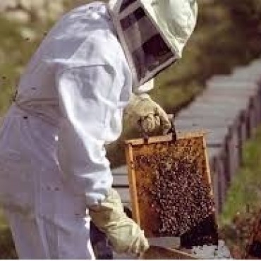 SE REALIZA UN ENCUENTRO APICOLA