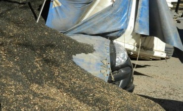 VOLCO UN ACOPLADO Y APLASTO UN AUTO