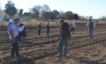 SE PUSO EN MARCHA EL VIVERO