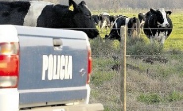 LA PATRULLA RURAL DE TRES LOMAS ESCLARECIO UN ROBO DE TERNEROS 