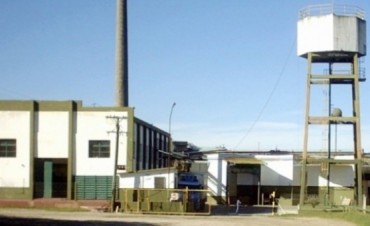 FRIGORÍFICO – “LA INTENCIÓN ES ABRIR LA SEMANA DEL 16 AL 20 DE ESTE MES”