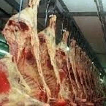 FRIGORÍFICO – “EL MARTES COMENZARÍAMOS CON LA PRIMERA FAENA”