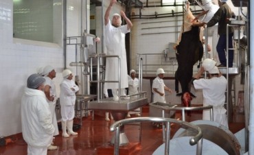 COMENZÓ EL TRABAJO EN LA PLANTA FRIGORÍFICA